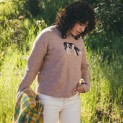 Toad and Co - Women's Wasatch Crew Sweater - Cattail Jacquard Pattern