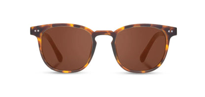 Camp Eyewear - Topo - Matte Tortoise / Walnut; Basic Polarized Brown