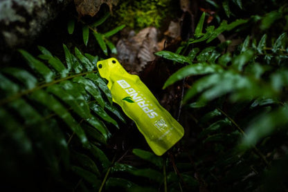 Spring Energy - Awesome Sauce