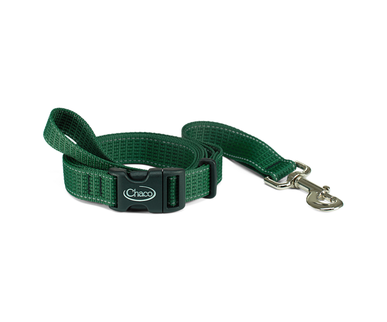 Chaco - Dog Leash - Cerulean