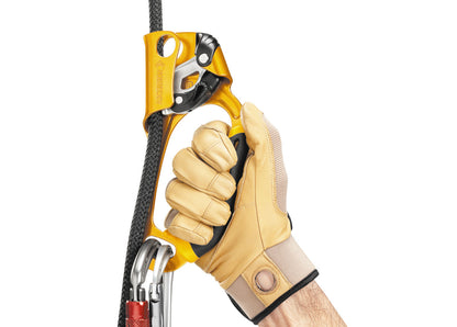 Petzl - Ascension - Left