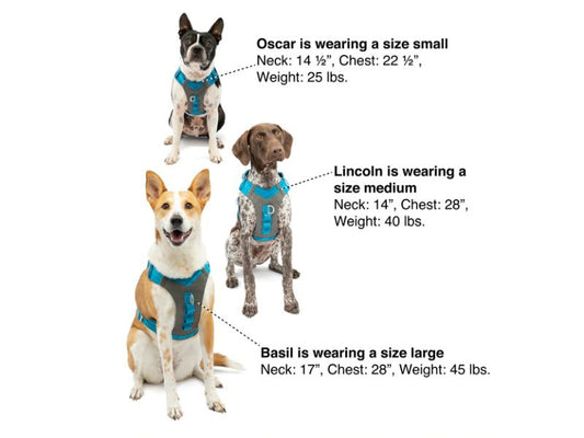 Kurgo - Journey Air Harness - Coastal Blue/Gargoyle Grey
