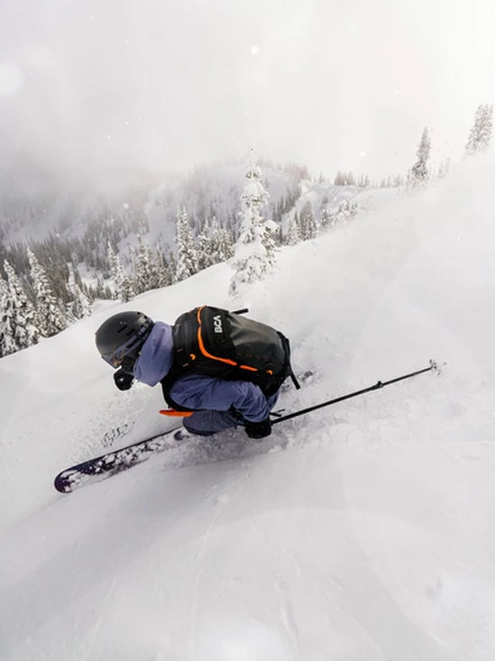 Backcountry Access - Stash 25