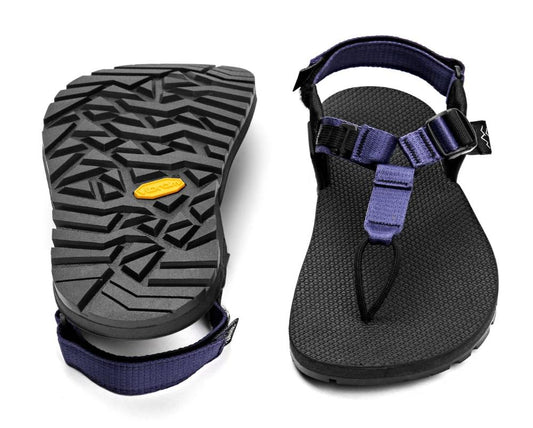 Bedrock - Cairn Evo - Lupine Purple