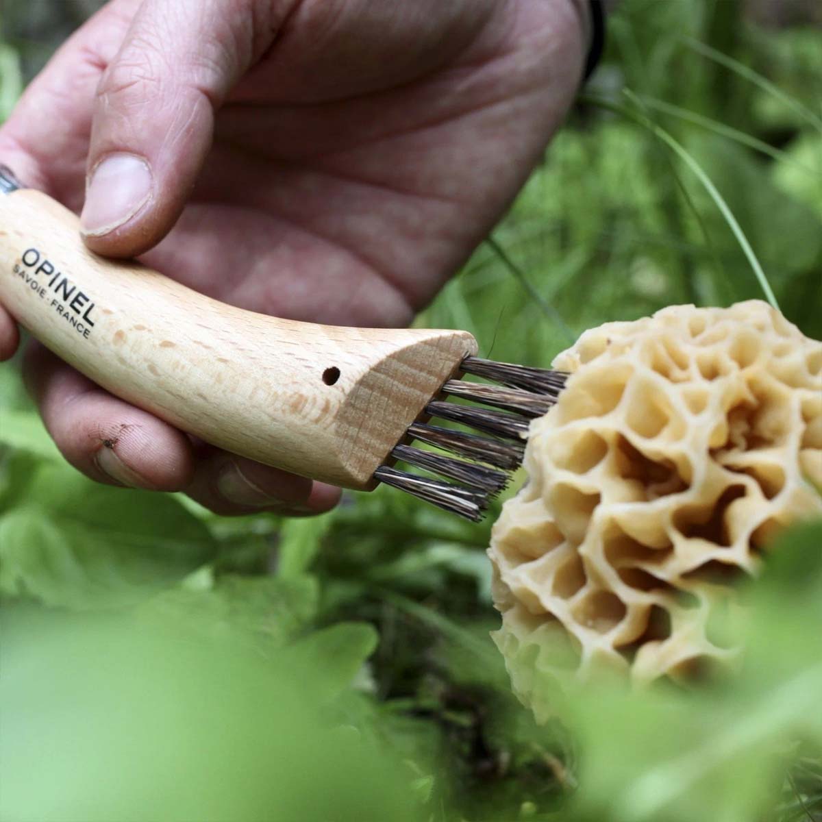 Opinel - No.08 Mushroom Knife w/Brush