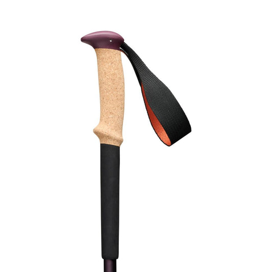 Black Diamond - Trail Cork Trekking Poles - Fig