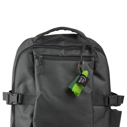 Nite Ize - Rad Dog Collapsible Bowl - Lime