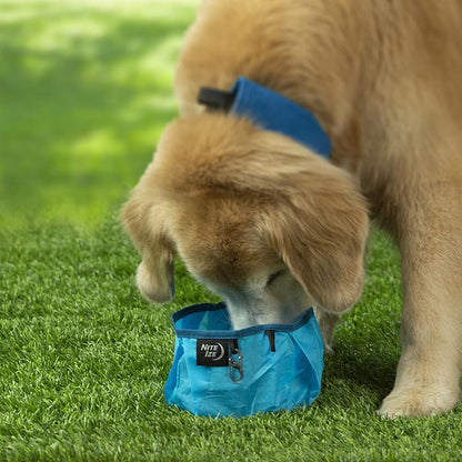 Nite Ize - Rad Dog Collapsible Bowl