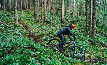 Transition - Spur Carbon GX - Blackberry