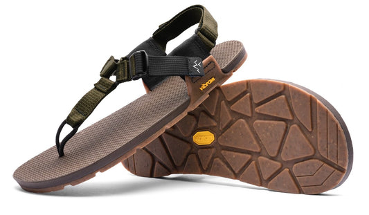 Bedrock - Cairn Geo - Bristlecone Brown