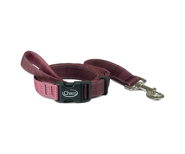 Chaco - Dog Leash - Cerulean
