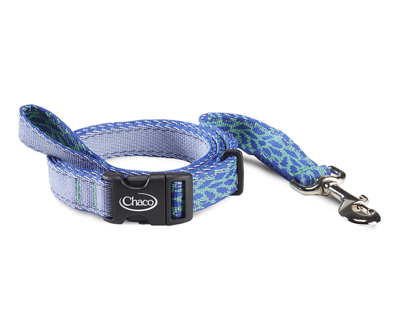 Chaco - Dog Leash - Cerulean