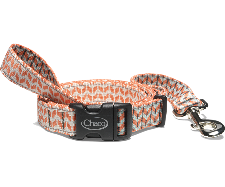 Chaco - Dog Leash - Cerulean