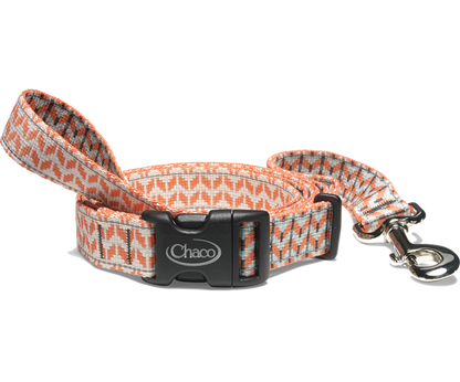 Chaco - Dog Leash - Cerulean
