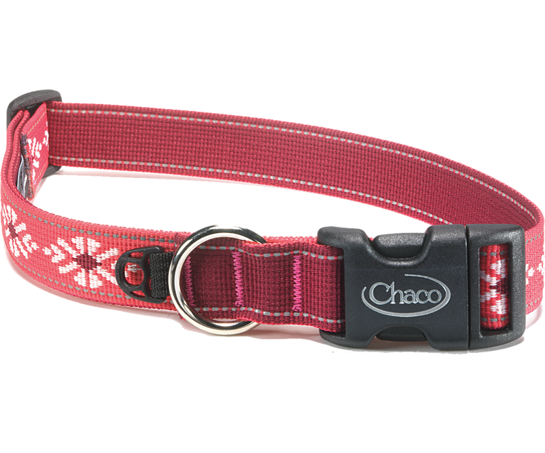 Chaco - Dog Collar - Static Black