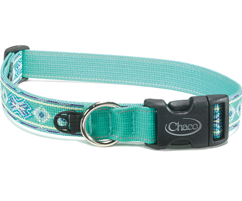 Chaco - Dog Collar - Static Black