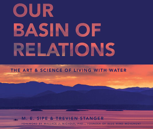 Trevien Stanger - Our Basin of Relations