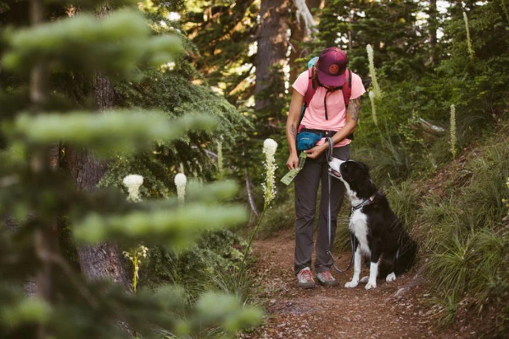 Ruffwear - Pack Out Bag - Basalt Gray