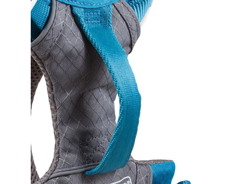 Kurgo - Journey Air Harness - Coastal Blue/Gargoyle Grey