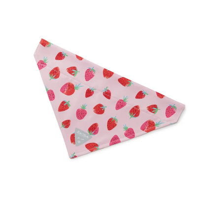 Skida - Dog Bandana - Assorted