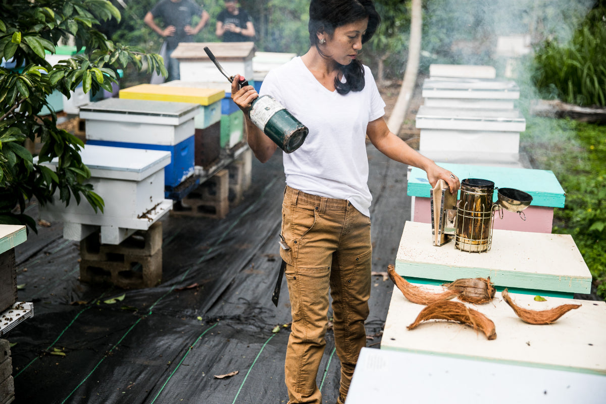 Dovetail - Maven X Pants - Women's - Saddle Brown Canvas