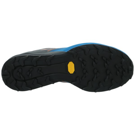 Dynafit - Alpine - Winter Moss/Black Out
