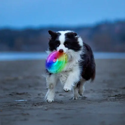 Nite Ize - Flashflight Dog Discuit LED Flying Disc - Disco