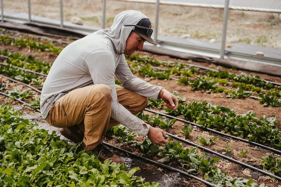Farm to Summit - Harvest Green Curry