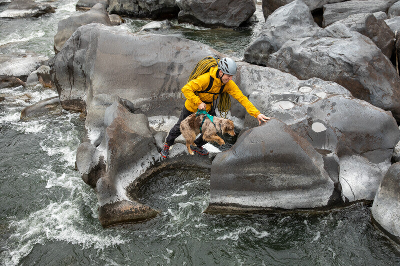 Ruffwear - Flagline Harness - Lichen Green