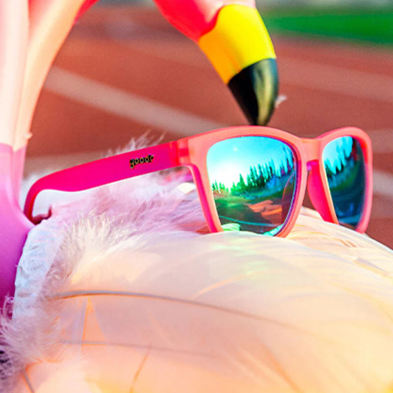 goodr - OGS - Flamingos on a Booze Cruise