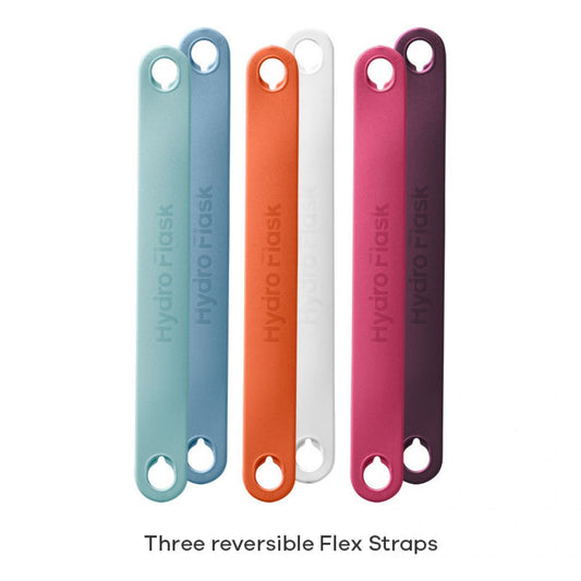 Hydro Flask - Flex Strap Pack - Southwest