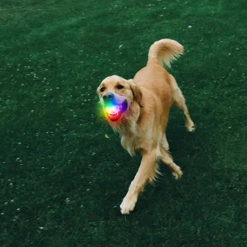 Nite Ize - GlowStreak Rechargeable LED Ball