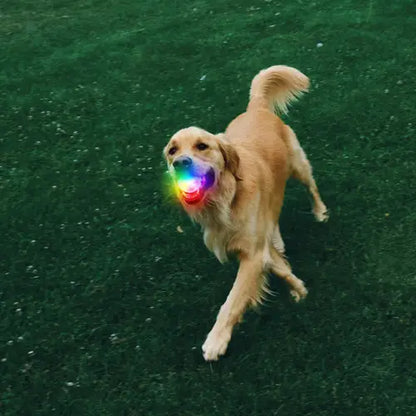 Nite Ize - GlowStreak Rechargeable LED Ball