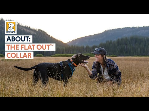 Ruffwear - Flat Out Collar - Fall Mountains