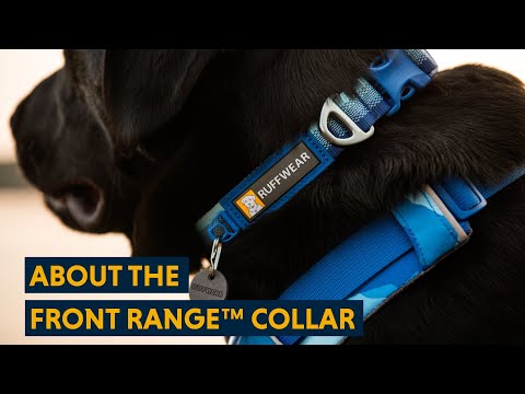Ruffwear - Front Range Collar - River Rock Green