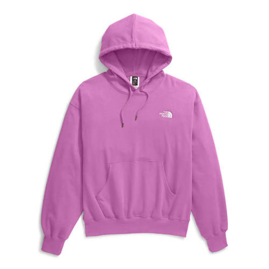 The North Face - Evolution Vintage Hoodie - Men's