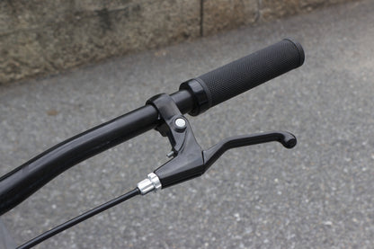 Rocky Mountain Bikes - Blizzard Alloy 10