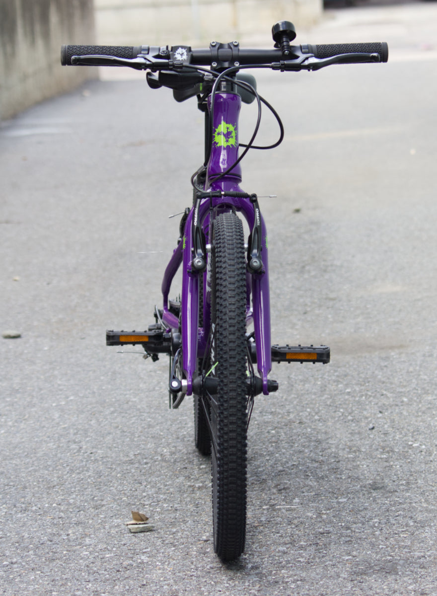 Frog Bikes - Frog 55 - Purple