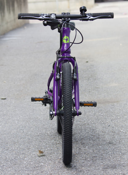 Frog Bikes - Frog 55 - Purple