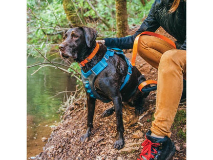 Kurgo - Journey Air Harness - Coastal Blue/Gargoyle Grey
