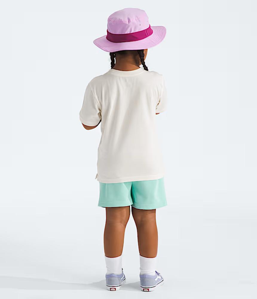 The North Face - Cotton Summer Set Graphic - Little Kids'