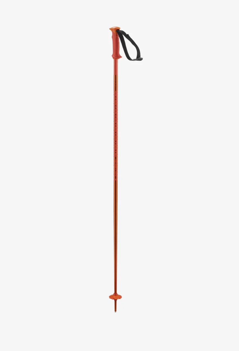 Salomon - Polar Alpine Poles