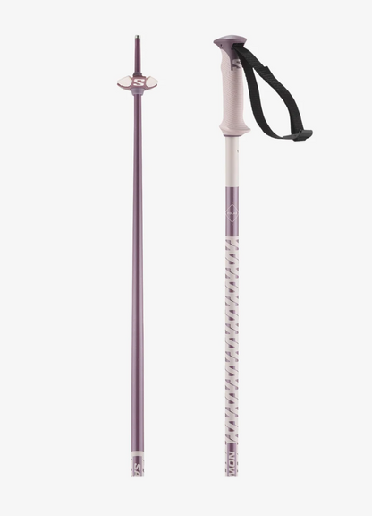 Salomon - Polar Alpine Poles - Grey Violet