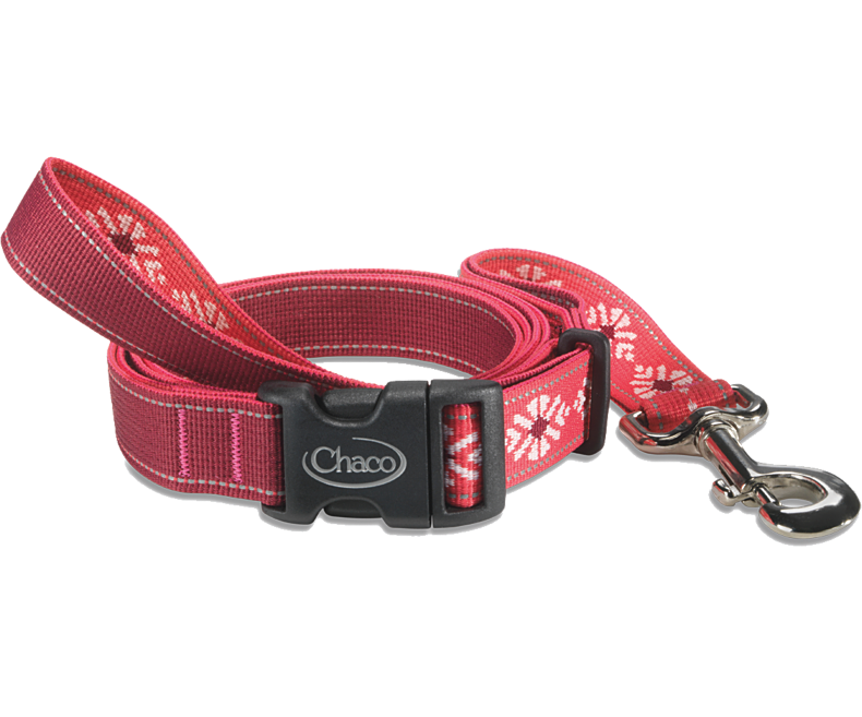 Chaco - Dog Leash - Cerulean