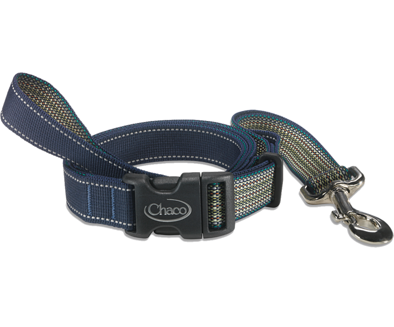 Chaco - Dog Leash - Cerulean