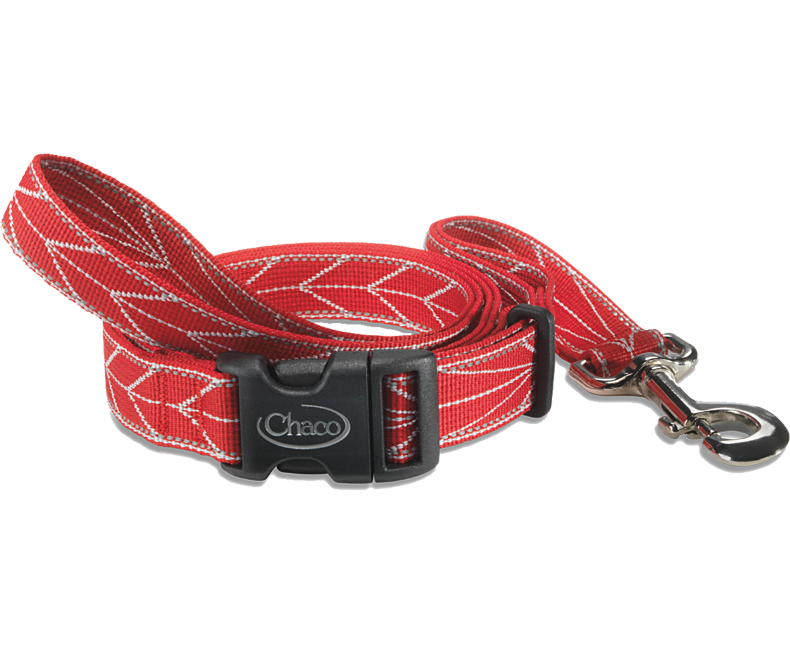 Chaco - Dog Leash - Cerulean