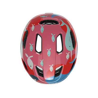 Lazer - PNUT KinetiCore 2.0 - Ocean Life