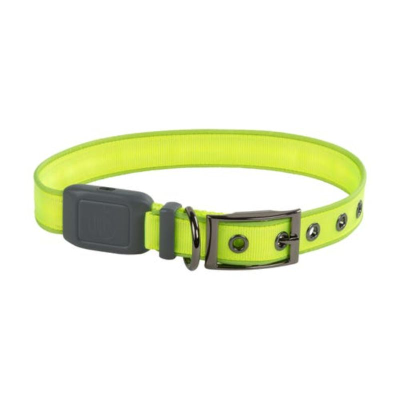 Nite Ize - NiteDog Rechargeable LED Collar - Lime/Green LED