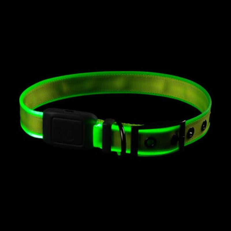 Nite Ize - NiteDog Rechargeable LED Collar - Lime/Green LED