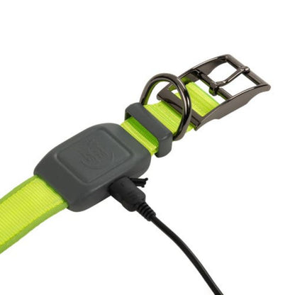 Nite Ize - NiteDog Rechargeable LED Collar - Lime/Green LED